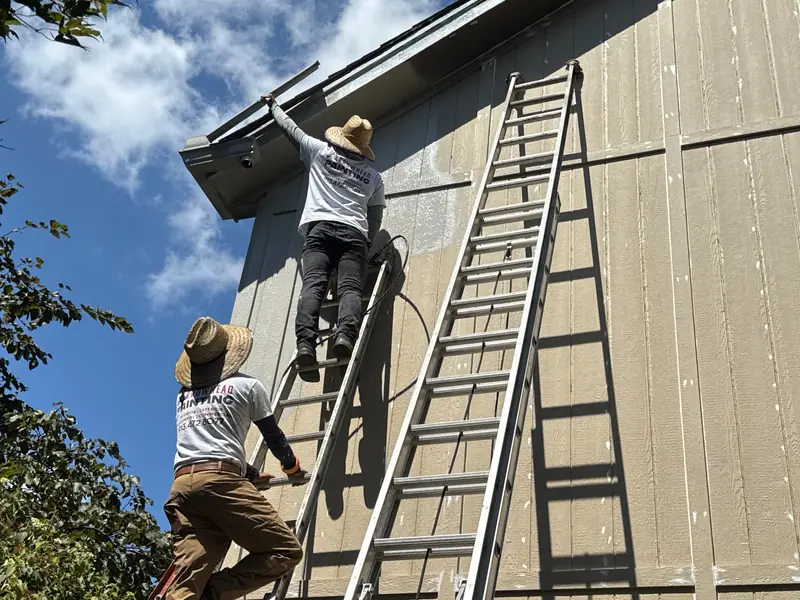 Crew on ladders painting a tall wall