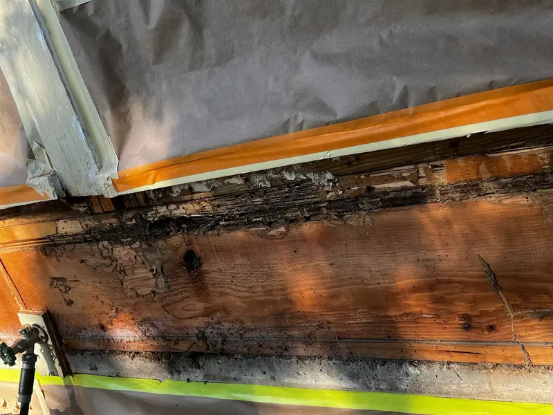 Rotted rim board exposed after siding removal