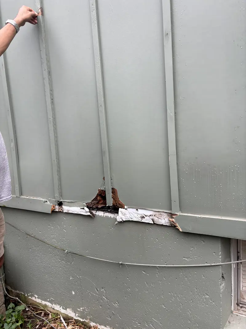Rotted siding at the bottom edge of a house