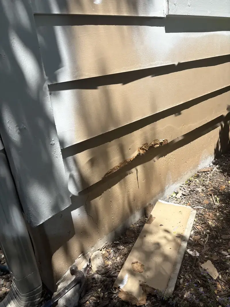 Rotted siding boards found during an Arrowhead estimate